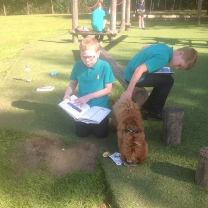 Otis the school dog (4)