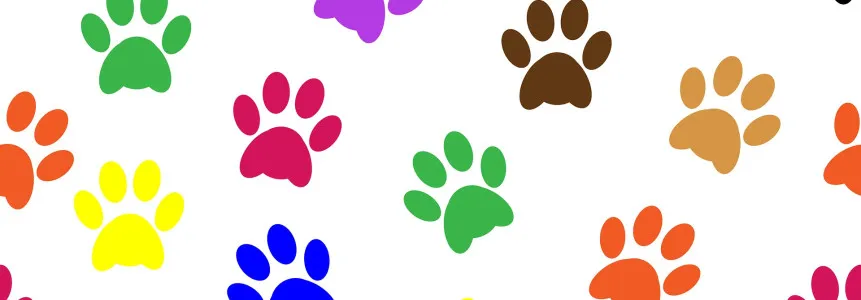 pawprints-2919733_1920